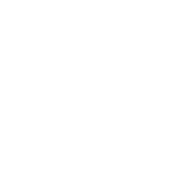 Bruce Brouwn Portfolio