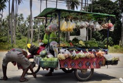 Drive-by Vegetables